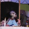 Beim Dorfgemeinschaftsabend in Mittelstreu war Jagdhündin Jane als "Madame Marie Gourmet" Gast in einem Restaurant. Besitzerin und Hundetrainerin Elena Ditterich aus Oberfladungen agierte dabei im Hintergrund mit ihren Armen und ließ die Hundedame menschlich wirken. Für das Publikum im wahrsten Sinne des Wortes ein tierisches Vergnügen.