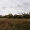 An den gut erhaltenen Betonhochblenden des ehemaligen Schießstandes am "Roman Hill" könnten einmal künstlerische Bilder oder grüne Vorhänge entstehen. Sie wären auch zur Befestigung einer Himmelsschaukel, von Nistkästen oder als Open-Air-Kinoleinwand geeignet.