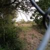 Der Natur- und Freizeitpark Roman Hill soll ganzjährig frei zugänglich sein. Der Natur- und Freizeitpark Roman Hill soll ganzjährig frei zugänglich sein.