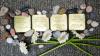 Vier Stolpersteine erinnern in der Rosenstraße Nr. 17 an die Weinhändlersfamilie Oppenheimer.