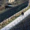 Ein frühlingshafter Spaziergang in den Weinbergen unterhalb der Festung Marienberg in Würzburg.