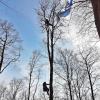 Bergwacht Bischofsheim im Einsatz: Ein Gleitschirmflieger musste am Samstag aus einem Baum gerettet werden.