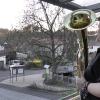 Der 15-jährige Finn Licha in Zell am Ebersberg mit seinem Tenorhorn auf dem Balkon. 
