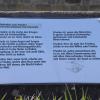 Gedanken zum Frieden, auf Tafeln am Friedensmahnmal des Alten Friedhofs Euerbach. Gedanken zum Frieden, auf Tafeln am Friedensmahnmal des Alten Friedhofs Euerbach.