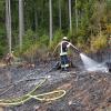 Auf einer Freifläche mit frisch angepflanzten Bäumen brach der Waldbrand bei Rengersbrunn aus. Einsatzkräfte der örtlichen Feuerwehren löschten.