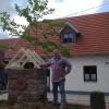 Der Eiersheimer Richtfestbaum und zugleich Maibaum.