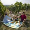 Die Weinberge um Dettelbach, wie hier in Neuses am Berg, laden zum Wandern und Picknicken ein.