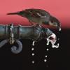 Die Qualität des Wassers aus Hausbrunnen zur Nutzung von Mensch und Tier steht im Mittelpunkt der Untersuchungen des VSR-Gewässerschutzes.