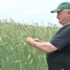 Landwirt Helmut Kleinschroth baut gerne alte Getreidesorten an.