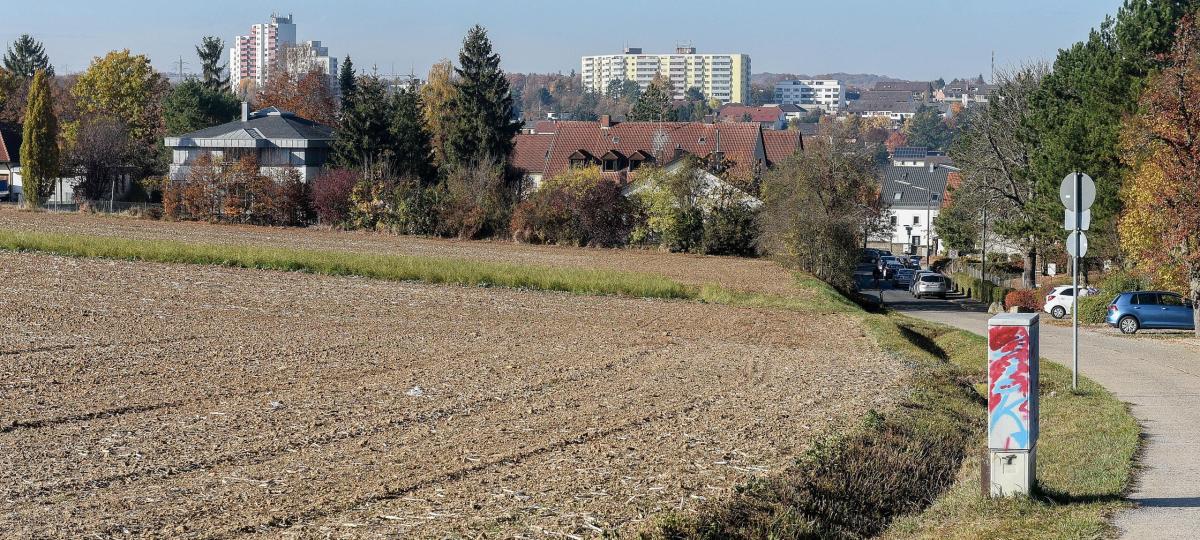 Verzögerung bei Baugebiet in Lengfeld: Grüne finden Verhalten von CSU‑Stadtrat Roth „skandalös“