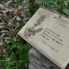 Auf den Tonschildern zum Lindelbacher Bibelpflanzenweg ist der Pflanzenname, eine Bibelstelle und eine Illustration von Astrid Schiller zu finden. Auf den Tonschildern zum Lindelbacher Bibelpflanzenweg ist der Pflanzenname, eine Bibelstelle und eine Illustration von Astrid Schiller zu finden.
