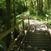 Gerade die Wälder im Kitzinger Land bieten viele Wege, die auch Familien gut laufen können.