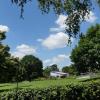 Volkachs Freibad-Liegewiese wird ein Bürgerpark.