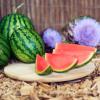 Seit einem Jahre haben die Daubingers auch Wassermelonen in ihrem Sortiment. Seit einem Jahre haben die Daubingers auch Wassermelonen in ihrem Sortiment.
