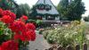 Blumenpracht in Roden.