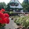 Blumenpracht in Roden.