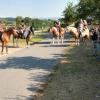 Ein Filmteam des Bayerischen Fernsehens hat Reiter auf einer Tour im Landkreis Haßberge begleitet. Der Beitrag soll am 23. August ausgestrahlt werden.
