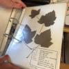 Für ihre Prüfung zur Drogistin musste sie im Jahr 1969 ein Herbarium mit 150 Pflanzen anlegen. Für ihre Prüfung zur Drogistin musste sie im Jahr 1969 ein Herbarium mit 150 Pflanzen anlegen.
