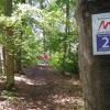 Durch verschiedenartige Wälder geht es bei der Extratour Michelsberg. Durch verschiedenartige Wälder geht es bei der Extratour Michelsberg.