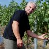 Winzer Oliver Gottschalk begutachtet seinen "Sauvignon blanc" im Weinberg am "Kronberg".