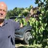 Thomas Riehl ist Obstanbau-Berater am Amt für Ernährung, Landwirtschaft und Forsten in Kitzingen. Für Für viele Betriebe sei die Zwetschge noch immer eine wichtige Einkommensquelle, sagt er.