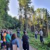 Massiver Käferbefall schadete dem Wald im Bereich Hegholz, Fichten mussten aus dem Schonunger Forst entnommen werden. Förster Reiner Seufert und Forstdirektor Stephan Thierfelder informierten den Gemeinderat vor Ort.