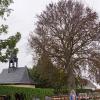 Bürgermeisterin Martina Rottmann vor der riesigen Buche im Oberpleichfelder Friedhof. Die Absperrung zeigt es an: Der Baum ist nicht mehr standsicher. Er muss gefällt werden.