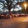 Im Park hinter dem Schloß Glücksburg der Stadt Römhild trafen sich Bürger aus der Partnerstadt Bad Königshofen und Römhild. Gemeinsam erinnerte man mit Kerzen in den Händen an 30 Jahre Wiedervereinigung. Die musikalische Gestaltung hatte die Prominentenband Bad Königshofen übernommen.