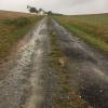 Der Hasengrabenweg in Weipoltshausen vor der Instandsetzung. Der Hasengrabenweg in Weipoltshausen vor der Instandsetzung.