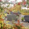 Neue Sepulkralkultur: Auch auf dem Niederwerrner Friedhof ist die klassische Erdbestattung selten geworden. Neue Sepulkralkultur: Auch auf dem Niederwerrner Friedhof ist die klassische Erdbestattung selten geworden.