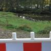 Fluch der guten Tat: Beim Anlegen einer ökologischen Ausgleichsfläche am Eisenhammerweg sind um Untergrund schwer belastete Abfälle aus der Glasindustrie aufgetaucht. Deren Entsorgung dürfte für die Stadt teuer werden.