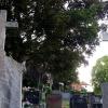 Die Gedenkfeier am Zeller Kriegerdenkmal auf dem Alten Friedhof muss in diesem Jahr coronabedingt entfallen. Die Gedenkfeier am Zeller Kriegerdenkmal auf dem Alten Friedhof muss in diesem Jahr coronabedingt entfallen.