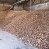 Auf dem Hof der Landwirte Hetterich lagern die geernteten Kartoffeln. 