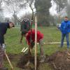 Im Rahmen des Projekts "Essbares Mellrichstadt" des Vereins "Eine neue Erde e.V." wurden in den Heiligengärten von Mellrichstadt fünf Obstbäume und verschiedene Sträucher gepflanzt. Im Bild (vordere Reihe von links): Bauhofleiter Maximilian Finster, Erik Seifert vom Lebensgut Cobstädt und AM-Geschäftsführerin Brigitte Pross; hintere Reihe von links: Ulrich Kluge, Rektor Realschule Mellrichstadt, Peter Suckfüll als Vertreter der VR-Bank und Stefan Lochner, Konrektor Realschule Mellrichstadt.
