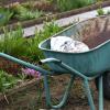 Polizeibericht: Bei Gartenarbeiten gegen Corona-Regeln verstoßen