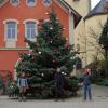 Die Organisatoren der "Pläfelder Christbaam Schmügga" am dekorierten Weihnachtsbaum vor dem Oberpleichfelder Rathaus (von links): Michael Rebitzer, Jörgen Michalzik, Björn Robel und Benedikt Pfister. Auf ihren roten Mützen steht das Logo der Christbaam Schmügga.