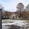 Auf dem Bolzplatz der Dachsgrube, gegenüber vom jetzigen Grund- und Mittelschulgebäude (im Hintergrund), wird das neue Sennfelder Schulgebäude errichtet. Der Baumbestand soll möglichst nicht belastet werden. Auf dem Bolzplatz der Dachsgrube, gegenüber vom jetzigen Grund- und Mittelschulgebäude (im Hintergrund), wird das neue Sennfelder Schulgebäude errichtet. Der Baumbestand soll möglichst nicht belastet werden.