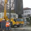 2019 wurden sie im Main versenkt, jetzt wurden sie gezogen: die Spundwanddielen, die  für den Bau der neuen Kaimauer nötig waren. Ein Spezialkran war nötig, um die etwa zehn Meter langen  und 1,4 Tonnen schweren Metallplatten zu entfernen.