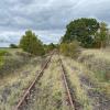 Hat die Steigerwaldbahn eine Zukunft? Das Thema ist in der ganzen Region ein Dauerbrenner. Hat die Steigerwaldbahn eine Zukunft? Das Thema ist in der ganzen Region ein Dauerbrenner.