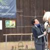 Zum zweiten Mal in diesem Jahr musste Regina Fuchsberger den Betrieb auf ihrem Reiterhof bei Stockheim aufgrund der Infektionsschutzmaßnahmen einstellen.