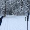 Das Wetter und damit die Wintersportbedingungen in Rhön sollen sich am Wochenende verbessern.