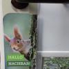 Der Türanhäger des BN.