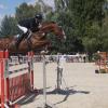 Tradition beibehalten: Kiliani-Reitturnier im Juli in Planung