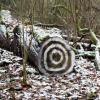 Im Röthleiner Winterwald muss man aktuell genau hinschauen, um Kunst zu entdecken. Im Röthleiner Winterwald muss man aktuell genau hinschauen, um Kunst zu entdecken.