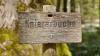 Vor der Knierer-Buche befindet sich ein Holzschild mit dem Namen. Vor der Knierer-Buche befindet sich ein Holzschild mit dem Namen.