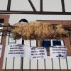  Mit einem kleinen Umzug zogen sie vom Kindergarten zum Dorfplatz und hängten das Feuerrädchen dort auf.