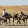 14 235 100 Tonnen Sahara-Staub befanden sich diese Woche in der Atmosphäre und rieselten langsam auf uns herab – da  versandete so manches.