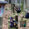 Die Wandermäuse Schollbrunn haben die Nistkasten-Säuberung in Einzelaktion vollbracht.
