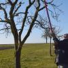 Im Februar und März werden Büsche und Bäume geschnitten, so wie hier in Schallfeld.