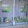 Eine kleine Werkschau mit Bilder von Michèle Schmidt ist im Schaufenster des ehemaligen Elektrogeschäfts Konrad zu sehen.
